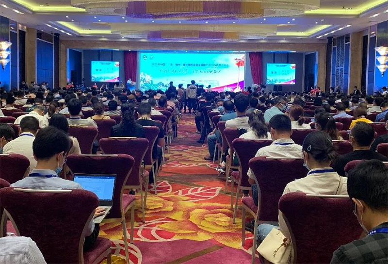 1661415859168038.jpg 27.jpg